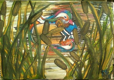 Wood Duck