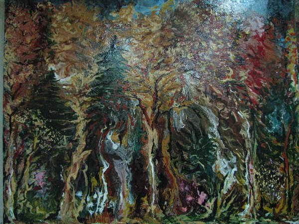 forest